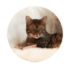 kovu