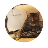 kovu