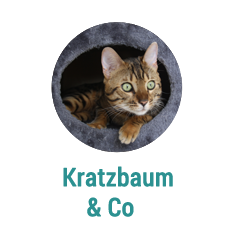 kratzbaum