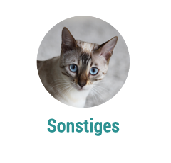 sonstiges