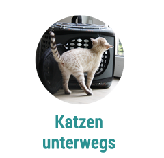 unterwegs